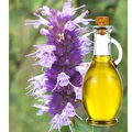 Hyssop-oil-500x500.jpg
