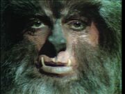 Werewolf640.jpg