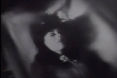 Collection 22 | The Dark Shadows Wiki | Fandom