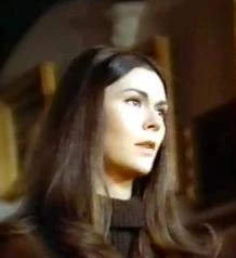 Tracy Collins Gallery