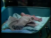 Suitcase & Voodoo Doll