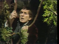 Barnabas Calls for Help