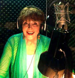 Beneath the Veil Gallery