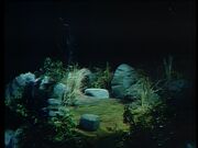 The highest point of the hill as seen in 1970.