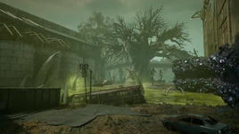 Костяные земли