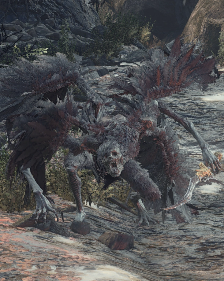 Corvianie Dark Souls Wikia Fandom