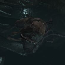 Serokrys Iz Poseleniya Nezhiti Dark Souls Viki Fandom