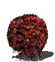 Bloodred Moss Clump.png