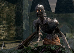 Hollow Soldier (Dark Souls II), Dark Souls Wiki