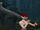 Server