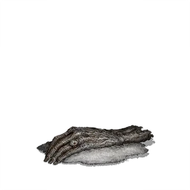 Пепел старухи