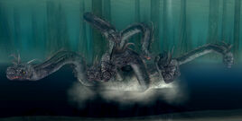 Black hydra