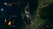 Halberdier (Black Knight of Darkroot Basin)