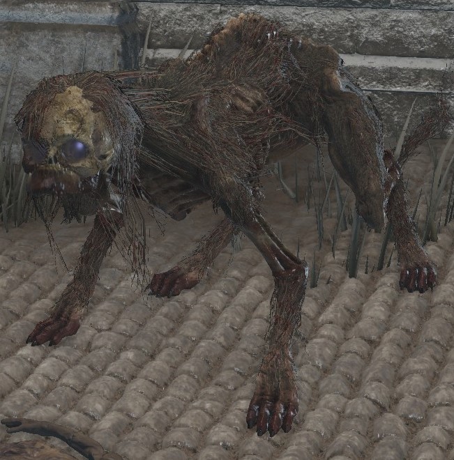 Irithyllian Beast-Hound | Dark Souls 