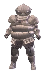 The peculiar onion-shaped armor of the Knights of Catarina.