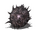 Spiked Shield (Dark Souls III)