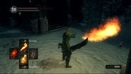 Facepalm.jpg (820 KB) Dark Souls' flamethrower
