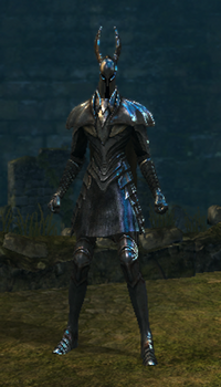 Silver knight set female