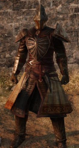 Hollow Soldier (Dark Souls II), Dark Souls Wiki