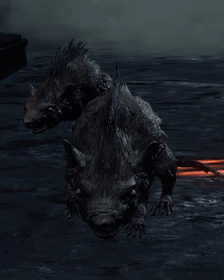 Крысиный дарк соулс. Боец крысиной гвардии dark souls 2. Крысиный дарк соулс. Токсичная крыса дарк соулс. Боец крысиной гвардии dark souls 2.