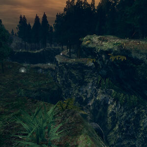 Royal Wood Dark Souls Wiki Fandom It is a sprawling city filled with enemies determined to stop the player from reaching its they fire dark orb, a new type of magic that you can find. royal wood dark souls wiki fandom
