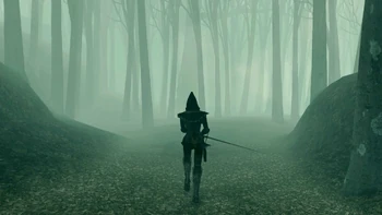 Темнолесье №1