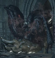 Wyvern Pus of Man.jpg (138 KB) The infected hind leg of a Lothric Wyvern.