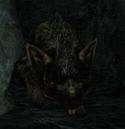 Can You Pet the Dog? on X: @Saiko_YG The Dark Souls II guide describes the  Royal Rat Authority as a gargantuan Dog Rat. This, combined with its  general appearance resembling that of