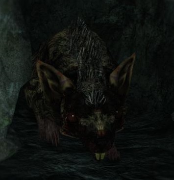 Rat King (covenant), Dark Souls Wiki
