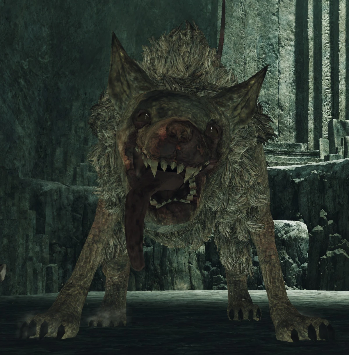 Дарк соулс 2 командир крысиной гвардии. Командир крысиной гвардии dark souls 2. Дарк соулс 2 командир крысиной гвардии. Король крысиной гвардии dark souls 2. Капитан крысиной гвардии дарк соулс 2.