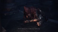 Gael 15.jpg (250 KB) Gael trzymający strzęp malunku Ariandel