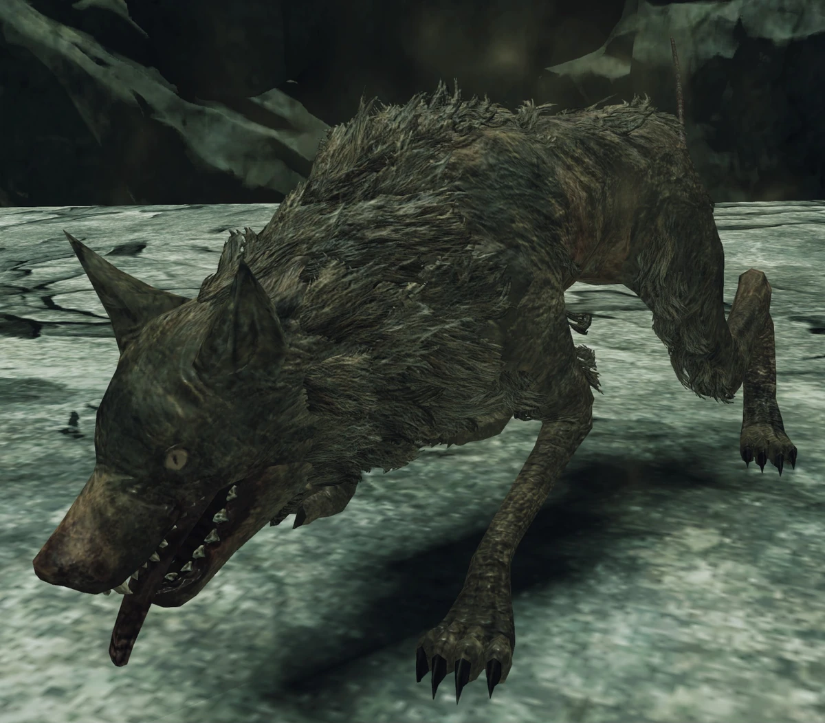 Командир крысиной гвардии дс2. Крысиный дарк соулс. Боец крысиной гвардии dark souls 2 арт. Крысиный дарк соулс. Босс крысиный король дарк соулс 2.