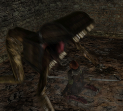 Mimic  Dark Souls 2 Wiki