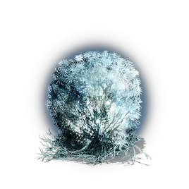 Rime-blue Moss Clump