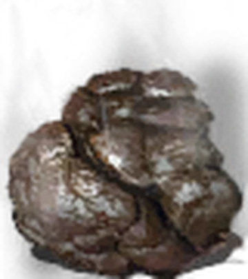 Dung Pie | Dark Souls Wiki | Fandom