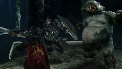 Achetez Dark Souls II: Scholar of the First Sin Steam PC PS5