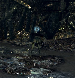 Big hat logan fight Clearance