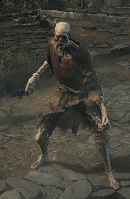 Hollow Soldier (Dark Souls II), Dark Souls Wiki