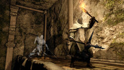 Gee maybe there's no dark souls 2 wiki. Maybe it's - #112582905 added by  isradam at Dark souls 2