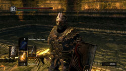 Blindfold Mask, Dark Souls Wiki
