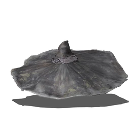 Sage's Big Hat