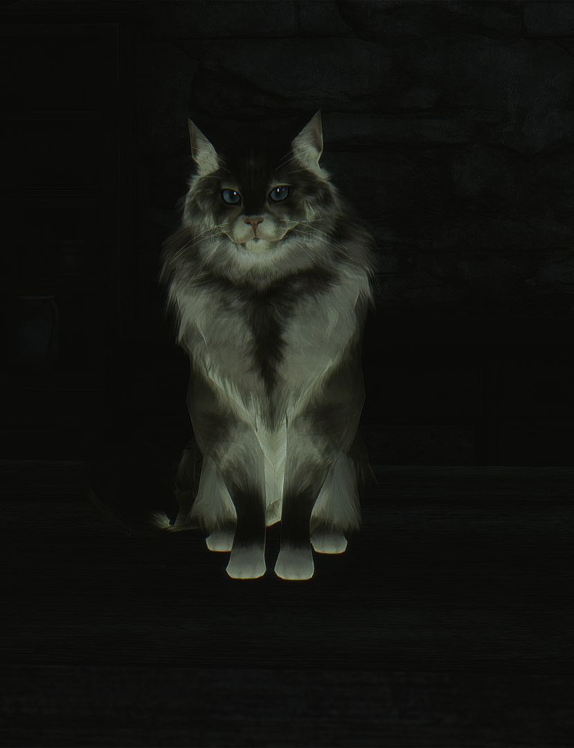 Sweet Shalquoir Dark Souls Wiki Fandom Sweet Shalquoir Dark Souls Wiki Fandom