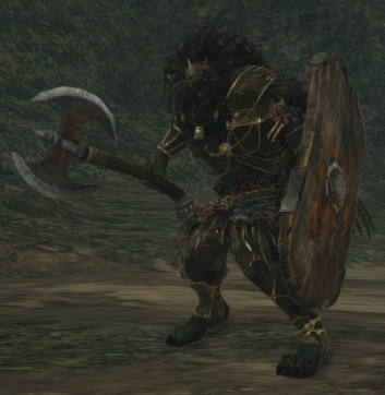 lion warrior dark souls 2