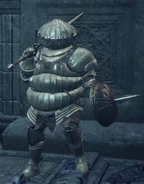 Disguise.jpg (184 KB) Patches disguised as Siegward