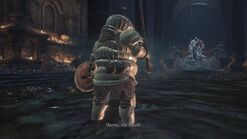 Siegward faces his former friend.