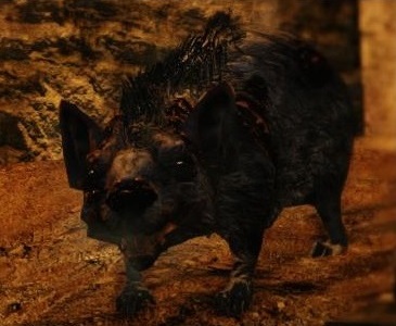 Corpse Rat - DarkSouls II Wiki