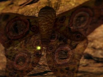 Великий Мотылёк