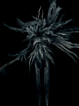 Four kings01