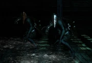 Mirrah's Shadow Knights.
