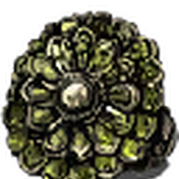 Кольцо хавела. Кольцо клоранти dark souls. Dark souls кольцо с зеленоцветом. Кольцо клоранти +2 дс2. Кольцо клоранти 2.